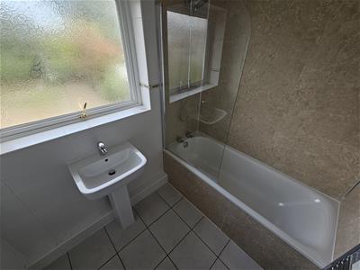Picture 24